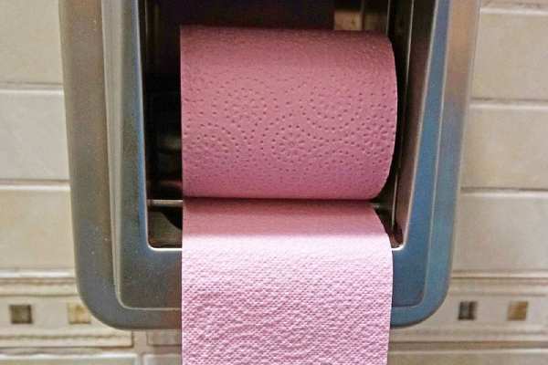 The Impact of Toilet Paper: Which Type of Bathroom Tissue Is The Best?