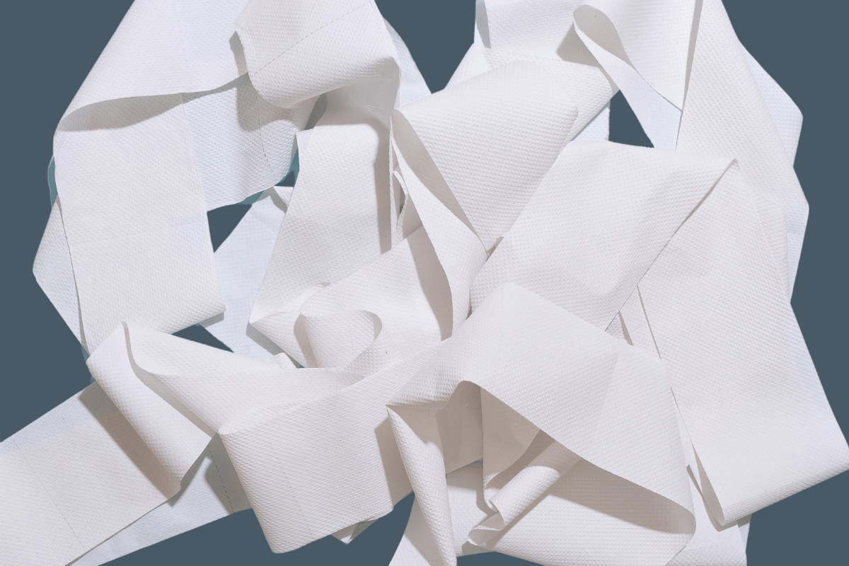 Can Toilet Paper Impact Hemorrhoids?