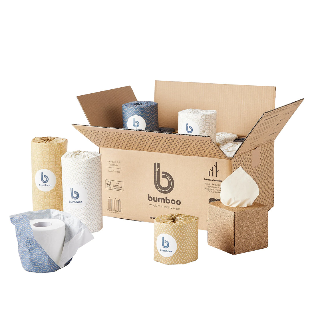 https://www.bumboo.eco/cdn/shop/files/Wrapped_Mixed_Product_Facial_Tissues_TP_Kitchen_Roll_22_Pack_studio_rollsandbox.webp?v=1701268068&width=1100
